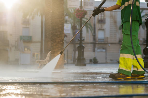 Best Pressure Washing Services Near Me  in Albion, NY